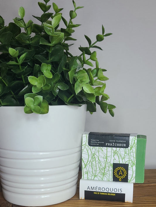 Savon naturel Fraîcheur